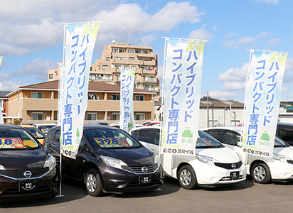 写真1